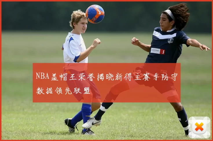 NBA盖帽王荣誉揭晓新得主赛季防守数据领先联盟