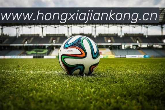 ayx爱游戏(中国)官方网站 - 登录入口APP 封面图